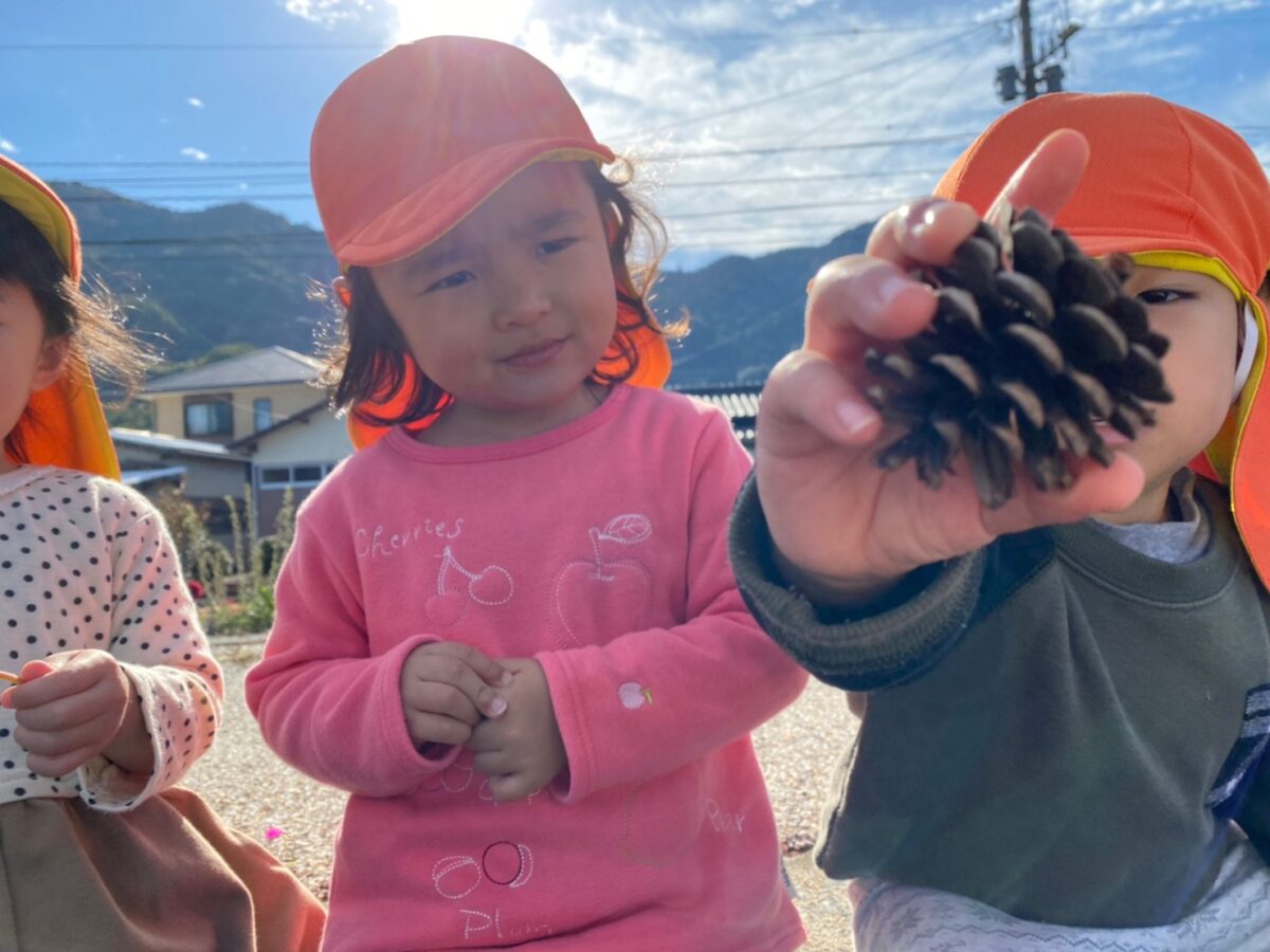 松ぼっくりがあったとさー（ひまわり） - 社会福祉法人 将友会