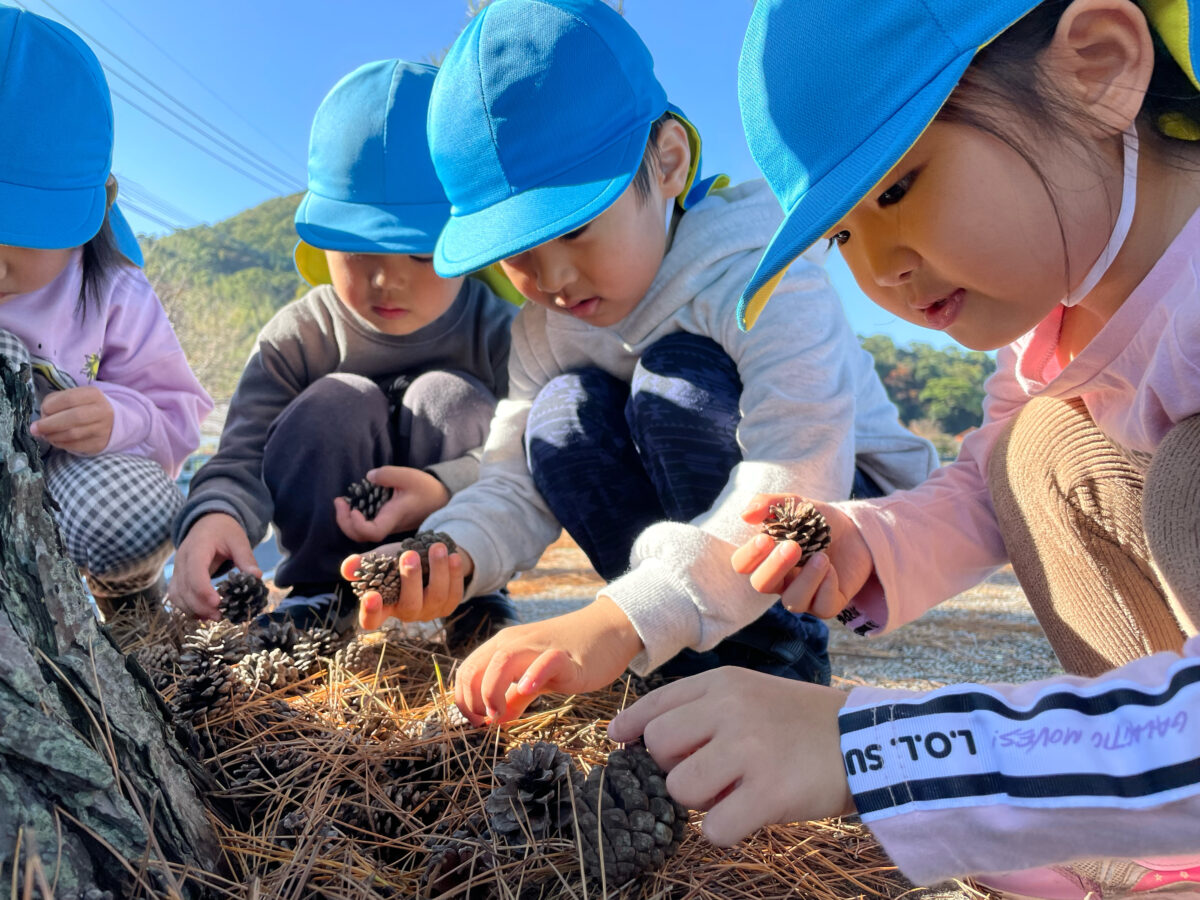 松ぼっくりがあったとさ〜🌳（さくら） - 社会福祉法人 将友会